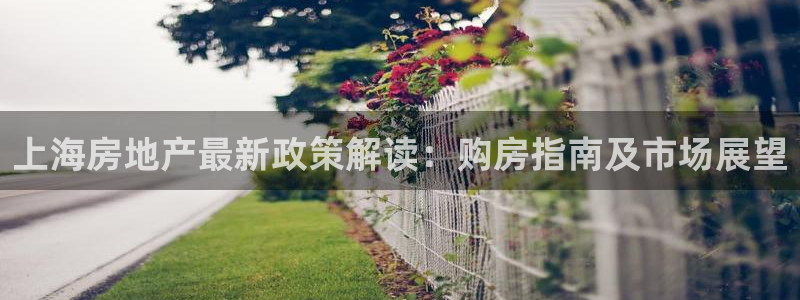 九游会j9官网ag